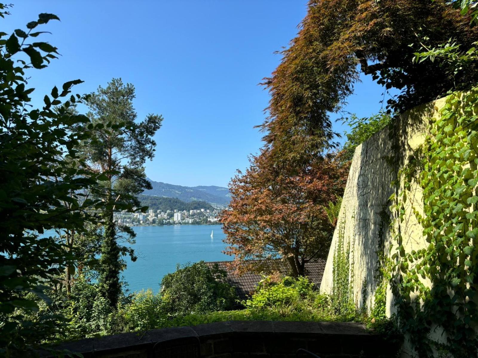 Queen Home Lucerna Exterior foto